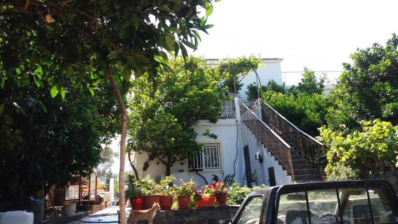 Traditional House In Akamatra Square Εξωτερικό φωτογραφία