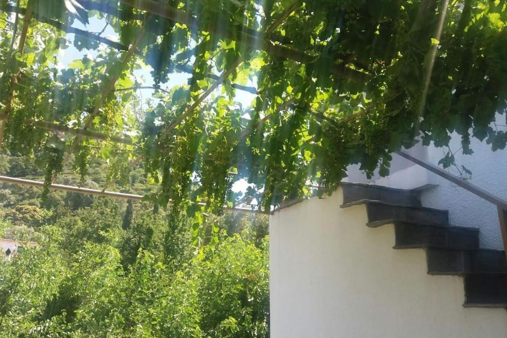 Traditional House In Akamatra Square Εξωτερικό φωτογραφία