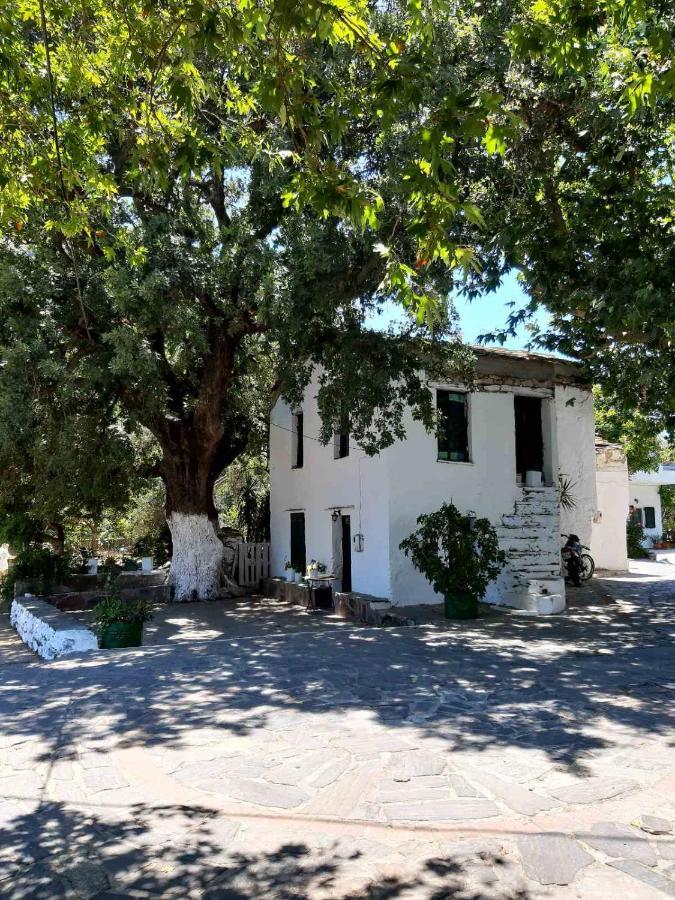 Traditional House In Akamatra Square Εξωτερικό φωτογραφία